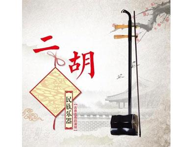 招聘保山二胡家教老师